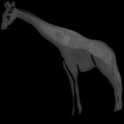 Camelopardalis