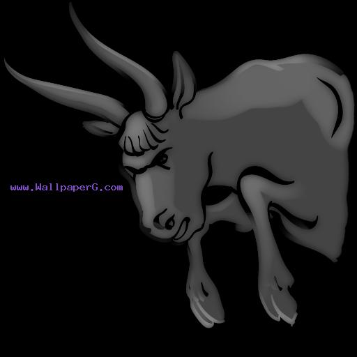 Taurus