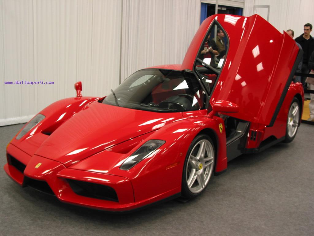 Ferrari enzo 3