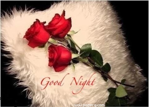 Good night sms message red rose hdwallpapers