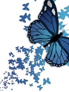 Blue butterfly