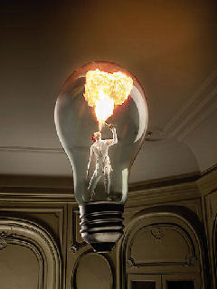 Bulb