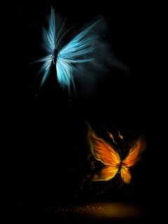 Creative butterfly