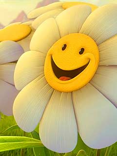 Happy sun flower