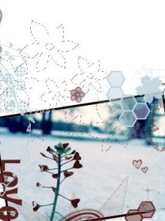 Love of effect