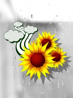 Sky and sun flower