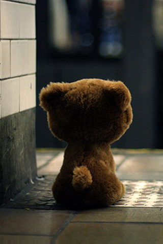 Bear ( 320x480)