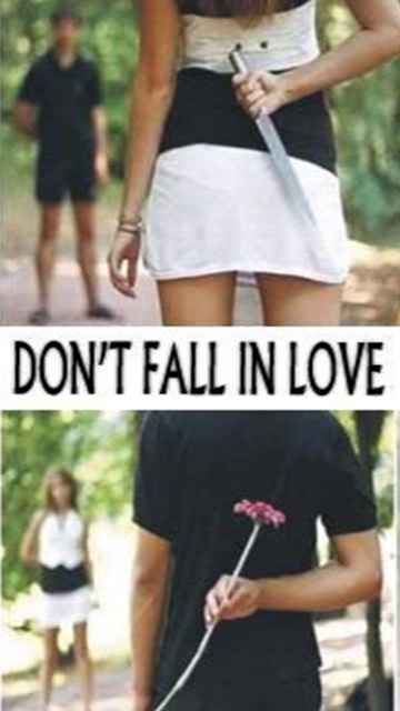 Dont fall in love