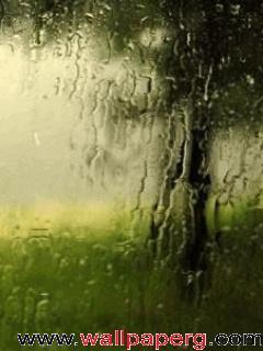 Animated rain