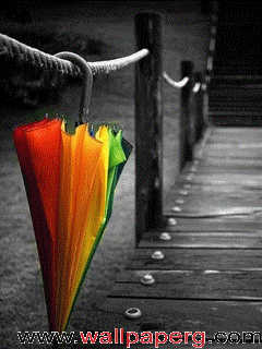 Colorful umbrella