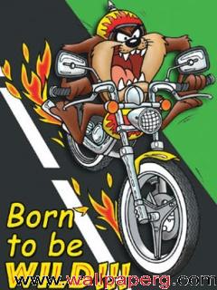 Born to be wild