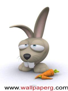 Lazy rabbit