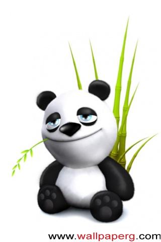 Baby panda