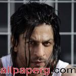 Shahrukh khan don2