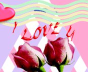 Rose i love u