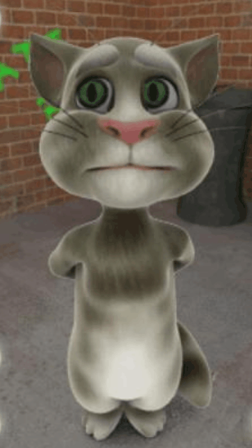 Android funny cat