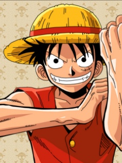 One piece hero