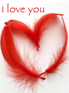 Red feather heart