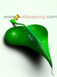 3d leaf