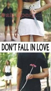 Don t fall in love 