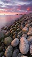 Sea stones