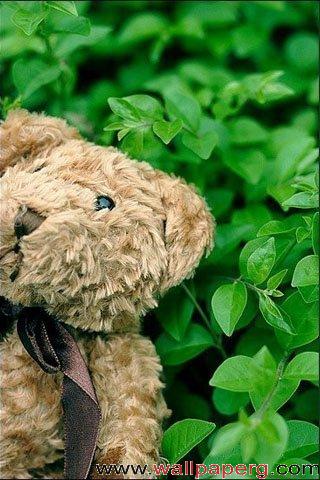 Wallpaper on Bear Doll Category 3d Hd Wallpapers Cool Hd Wallpapers Get This