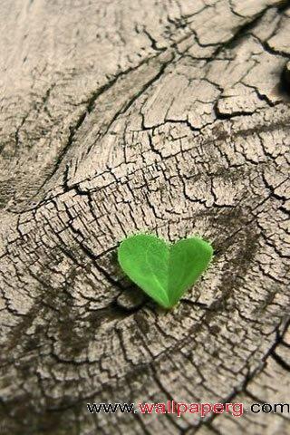 Green heart