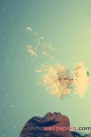 Dandelion flower