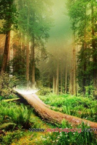 Animated Wallpaper Free Download  on Download Tree Forest   Cool Animated Wallpapers For Your Mobile Cell