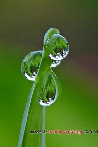 Dripping beads