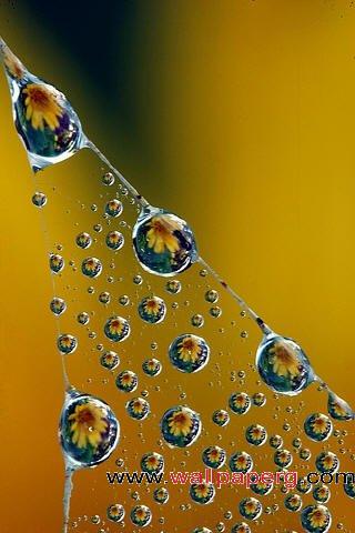 Water curtain