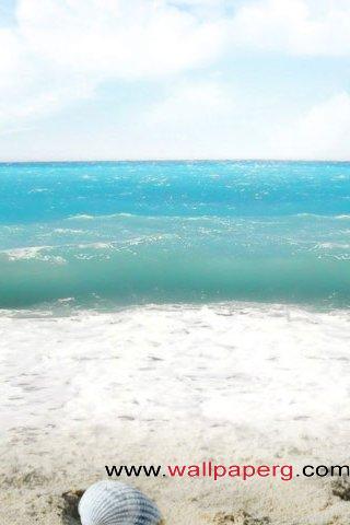Sea shells