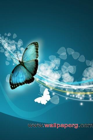 Blue butterfly
