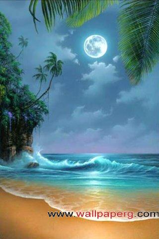 Moonlight coast