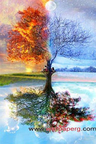Four seasons tree