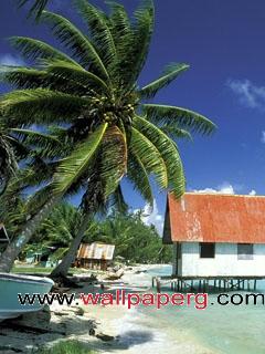 Tuamotu islands