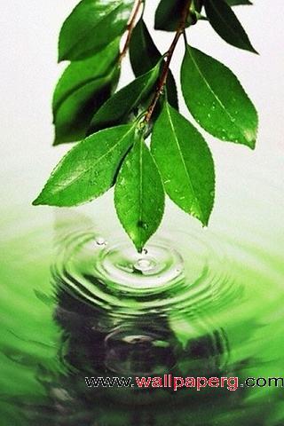 Splash of green