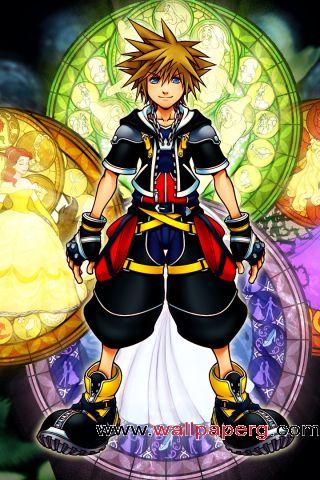 Kingdom hearts sora