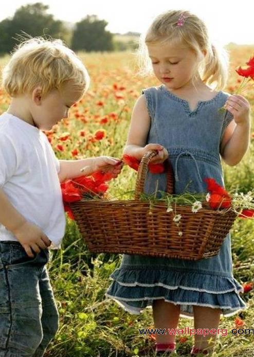 Red flowers