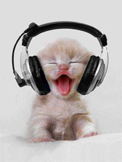 Funny cat listing music