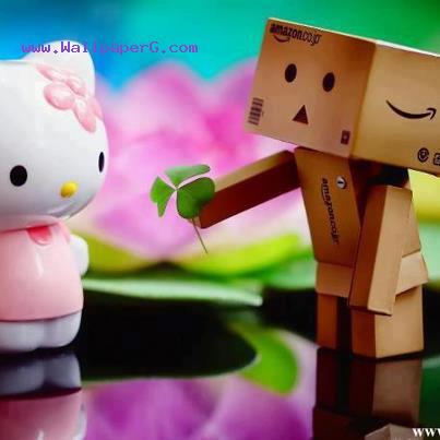 Box love