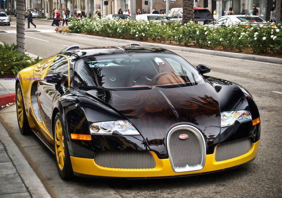  bugatti veyron