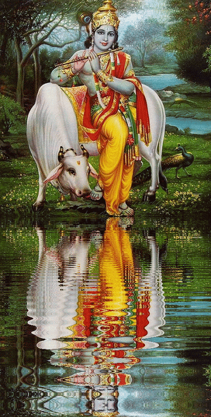 Download Shree krishna 147 - Animated screensaver for your mobile cell phone Download Shree krishna 147 - Animated screensaver for your mobile cell phone