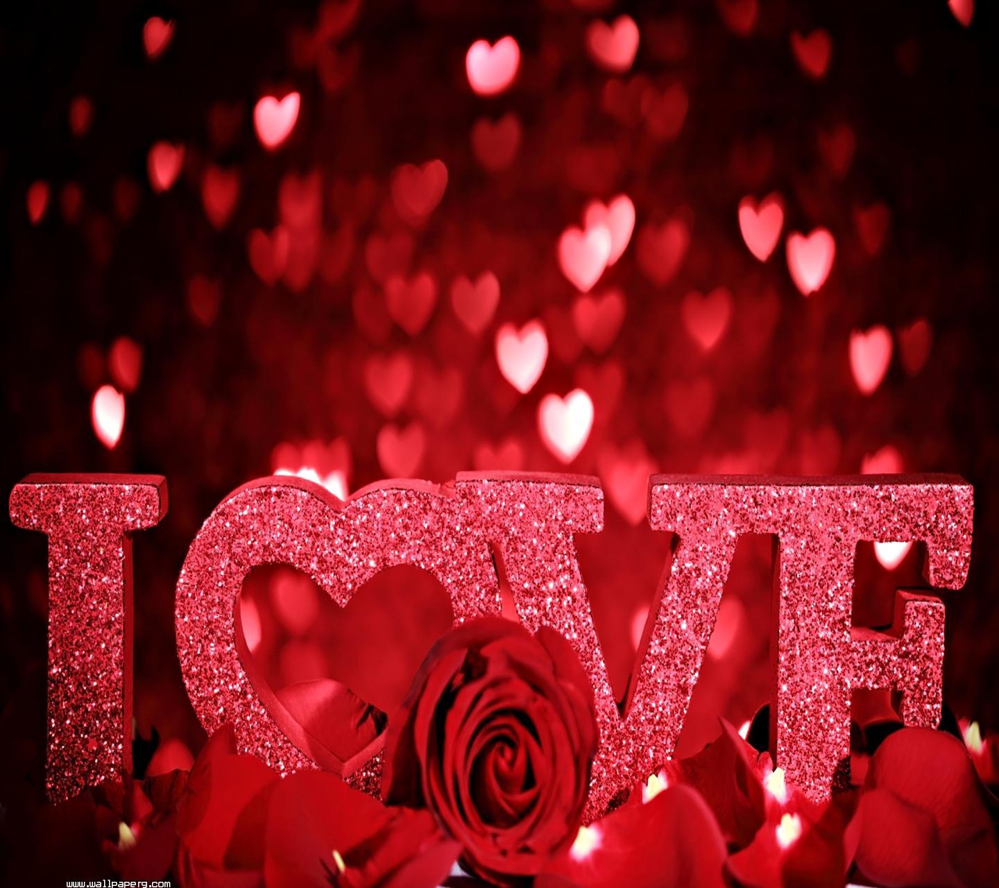 Download Red color of love - Valentines day for your mobile cell phone