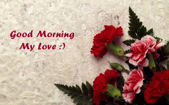 Featured image of post Good Morning My Love Images Download / You can download these good morning love images and.