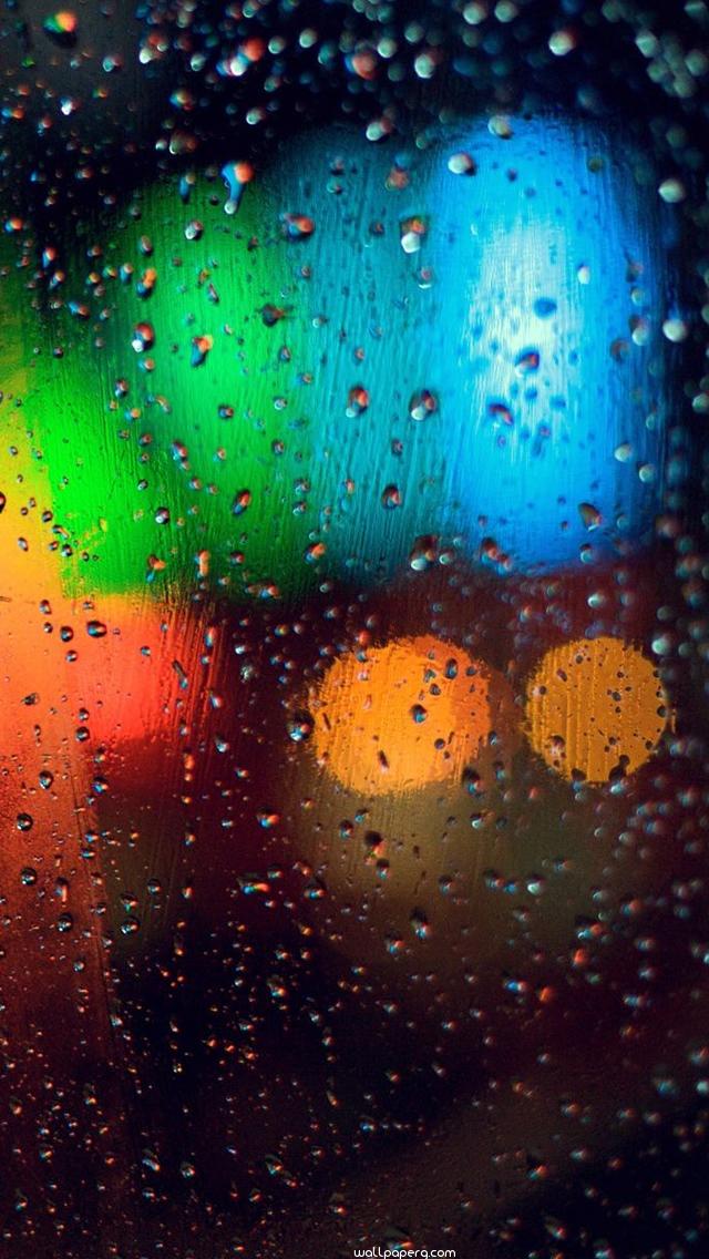 Download Colorful rainy grass hd wallpaper for mobile screen savers - Whatsapp  wallpapers for your mobile cell phone