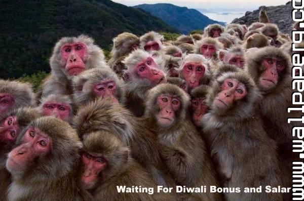 Download Funny diwali greeting - Whatsapp funny images for your mobile cell  phone