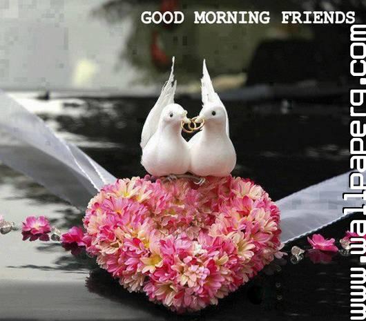Download Good morning picture of love - Good morning wallpapers for your mobile cell phone Download Good morning picture of love - Good morning wallpapers for your mobile cell phone