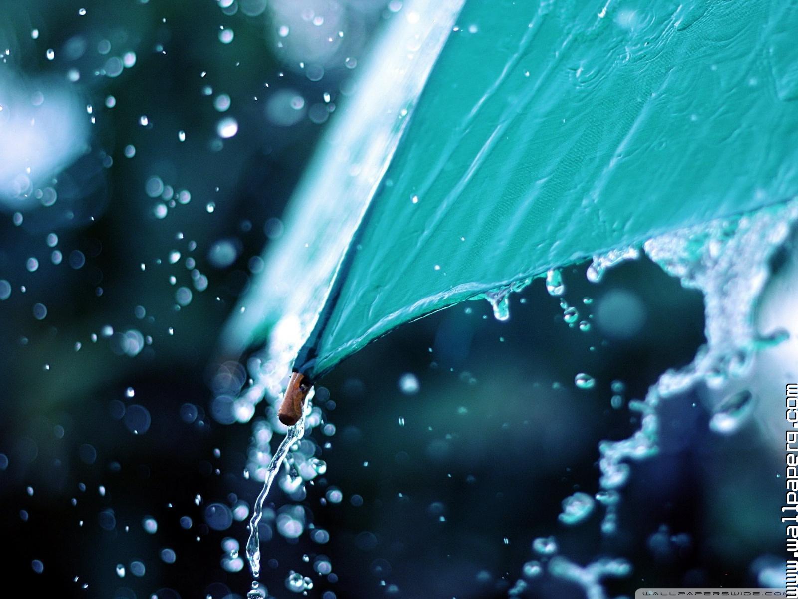 Download Rain drops over umbrella wallpaper - Hd monsoon images for your  mobile cell phone