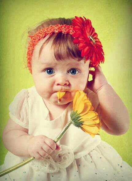 Download A baby with a flower - Innocent love Hd wallpaper or images ...